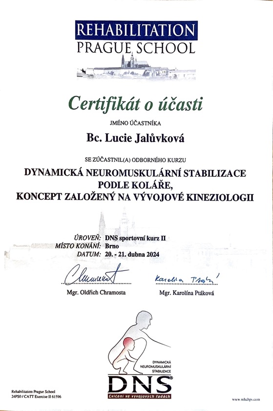 certifikat-dns-II
